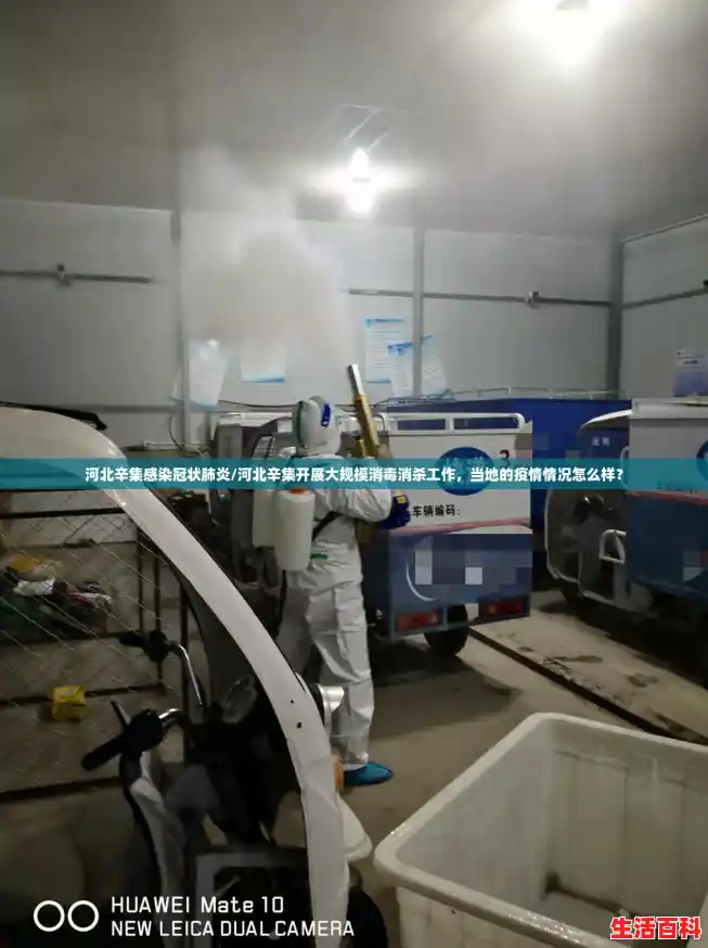 河北辛集感染冠状肺炎/河北辛集开展大规模消毒消杀工作，当地的疫情情况怎么样？
