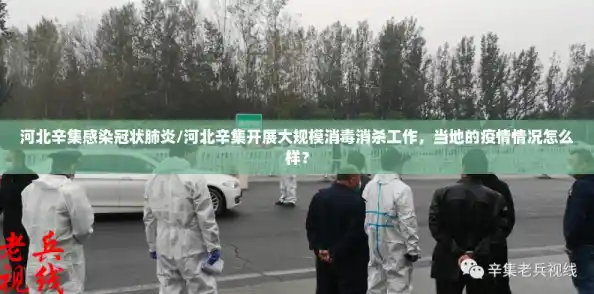 河北辛集感染冠状肺炎/河北辛集开展大规模消毒消杀工作，当地的疫情情况怎么样？