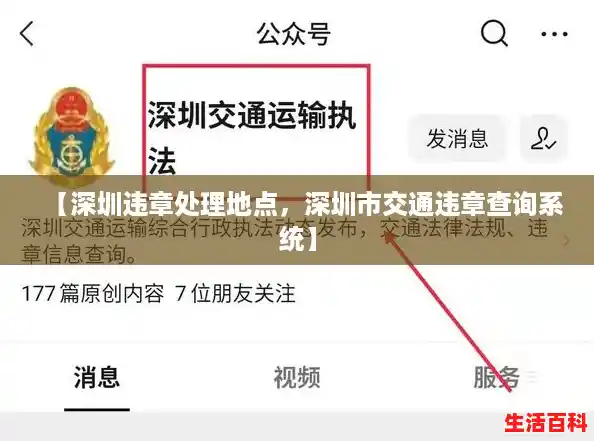 【深圳违章处理地点,深圳市交通违章查询系统】 【深圳违章处理地点,深圳市交通违章查询系统】