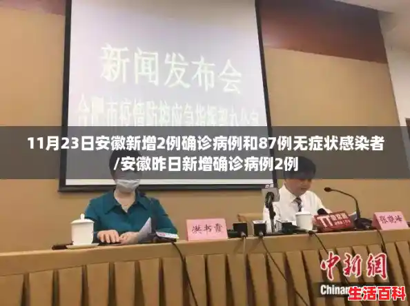 11月23日安徽新增2例确诊病例和87例无症状感染者/安徽昨日新增确诊病例2例