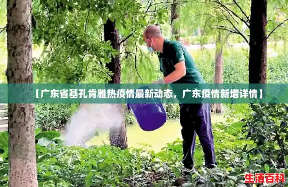 【广东省基孔肯雅热疫情最新动态，广东疫情新增详情】
