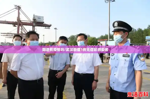 阳逻有疫情吗/武汉新增1例无症状感染者