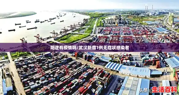 阳逻有疫情吗/武汉新增1例无症状感染者