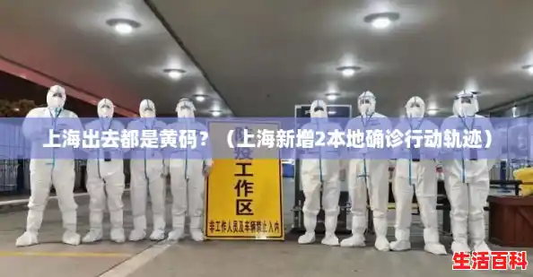 上海出去都是黄码？（上海新增2本地确诊行动轨迹）