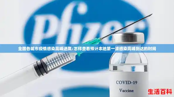 全国各城市疫情感染高峰进度/怎样查看预计本地第一波感染高峰到达的时间