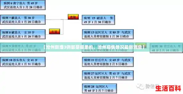 【沧州新增3例都是哪里的，沧州疫情情况最新消息】