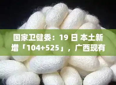国家卫健委：19 日 本土新增「104+525」，广西现有本土确诊250例