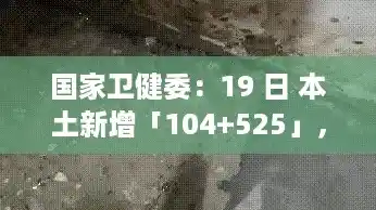 国家卫健委：19 日 本土新增「104+525」，广西现有本土确诊250例