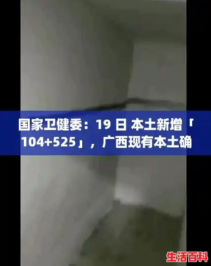 国家卫健委：19 日 本土新增「104+525」，广西现有本土确诊250例