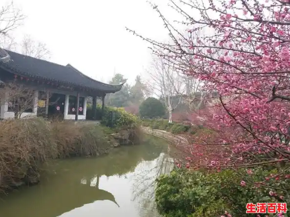 常州红梅公园今天解封没有（常州疫情解封了吗今天）