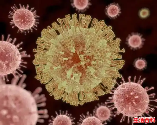 深圳基孔肯雅热共几人/深圳疫情的最新数据 深圳基孔肯雅热共几人/深圳疫情的最新数据