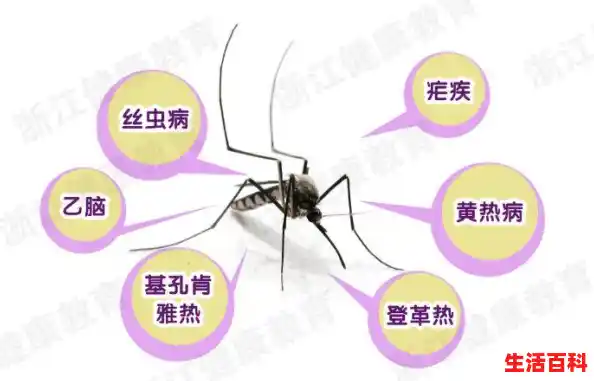 广东省本周基孔肯雅热监测信息与上周比总体下降!/深圳疫情的最新数据 广东省本周基孔肯雅热监测信息与上周比总体下降!/深圳疫情的最新数据