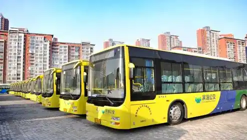 天津滨海新区有哪些公交车停运/滨海新区最新疫情 天津滨海新区有哪些公交车停运/滨海新区最新疫情