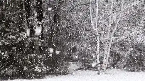 山东新增本土31+144，在青岛、威海、烟台,山东省疫情分布图