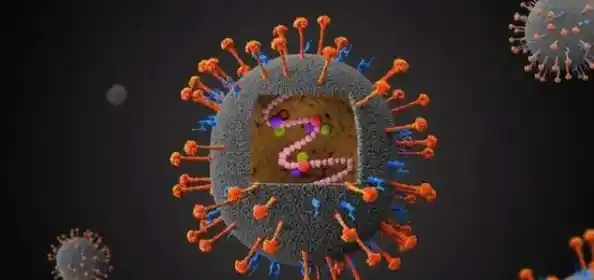 中国发现“新”病毒？已知35例感染，我们有必要担心吗？/山东病毒感染最新消息