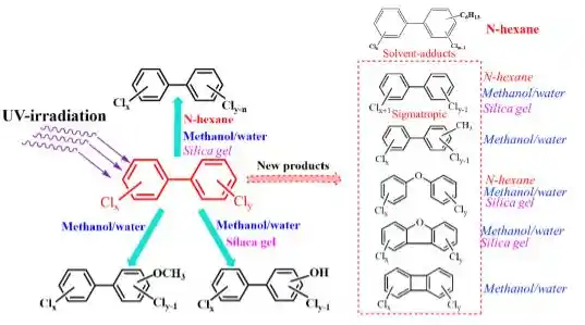 广州被列为中风险区/国内四大一线城市，其中一城或将“掉队”，谁有希望晋级？