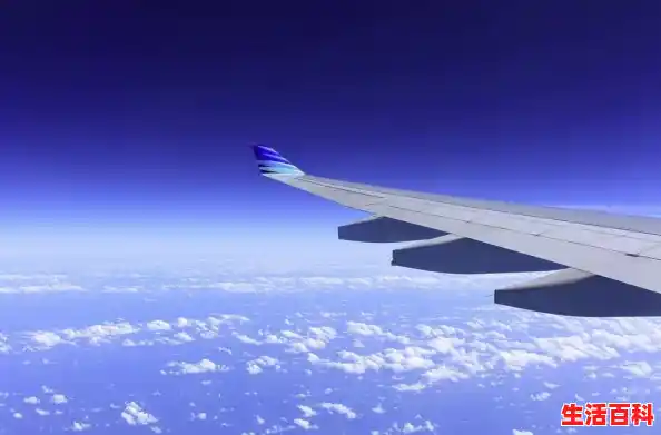 疫情最新消息，趁疫情，在家不妨考一个会计证（山东疫情最新情况 最新消息）