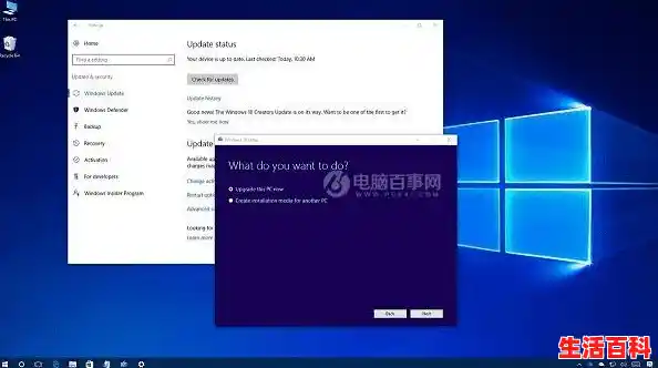 win10更新失败什么原因/win10电脑进行系统更新时出现失败怎么办？