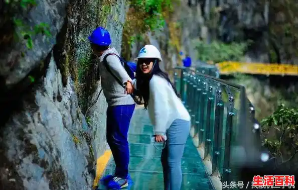 胶片相机成像原理/用胶片的相机和数码相机哪个清晰