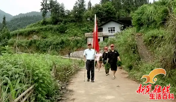 下载党必备黑科技神器，解决磁力种子下载没速度的难题！,高速下载种子文件