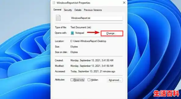 win11如何改变默认编码格式-win11默认编码格式更改教程分享（win11修改默认浏览器）