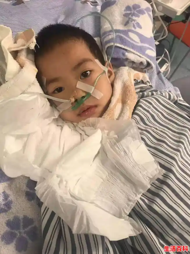 win11系统崩溃无法开机解决方法/win11系统崩溃导致电脑无法运行