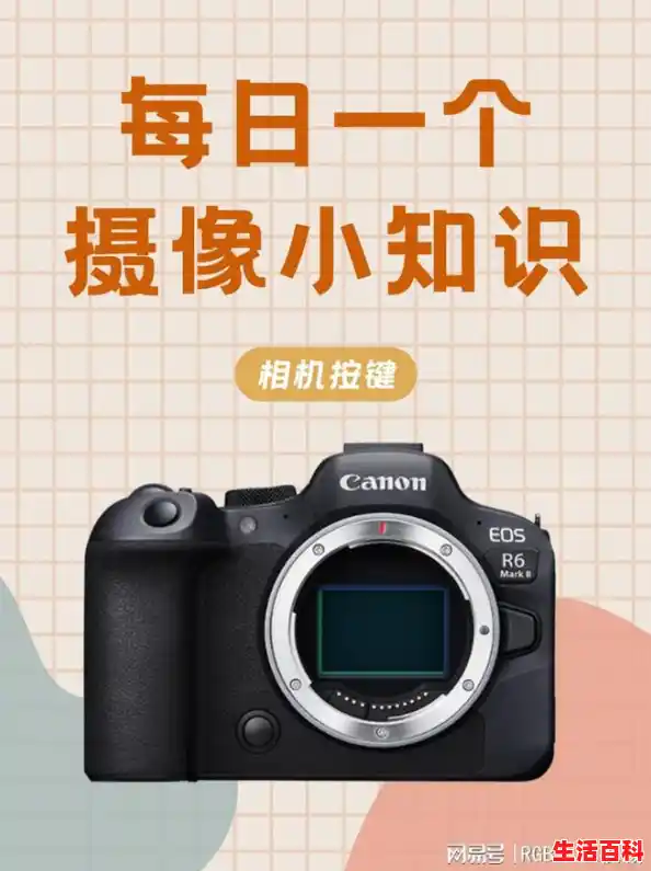 新手入单反入门推荐/挑选单反相机指南