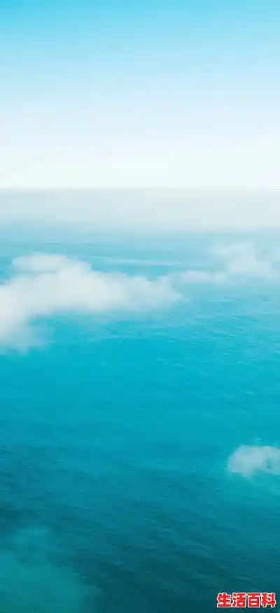 win11打开软件不是全屏显示怎么办win11打开软件不是全屏显示解决方法（win10窗口最小化后无法恢复）