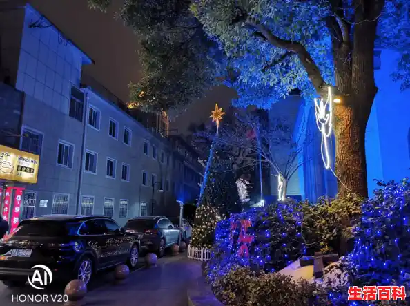 【荣耀v20拍照的技巧，荣耀手机拍照效果提升技巧视频】