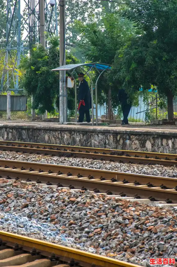 尼康单反相机如何选择照片的格式？/尼康单反