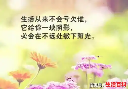 留住美好瞬间的唯美句子 留住美好瞬间的唯美句子说说/记录时光瞬间留住回忆